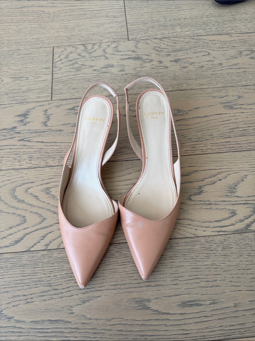 Lanvin Blush Pink Leather Pointed Slingback Flats